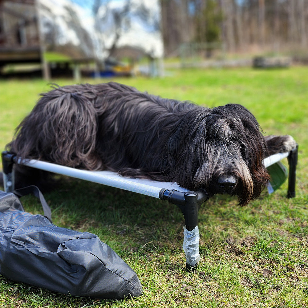 Startbox - Hundeseng